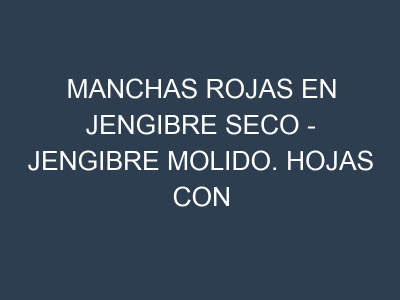 Manchas rojas en Jengibre seco – Jengibre molido. Hojas con manchas rojas en Jengibre seco – Jengibre molido.