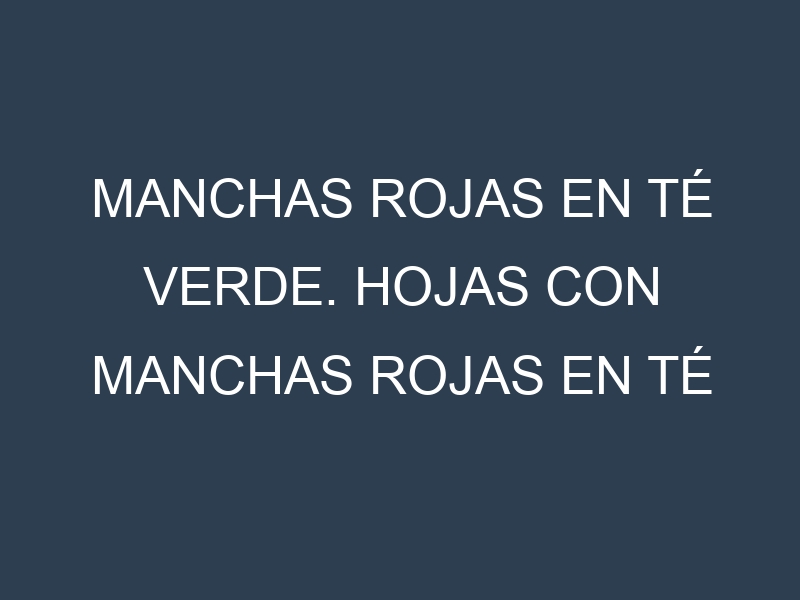Manchas rojas en Té verde. Hojas con manchas rojas en Té verde.
