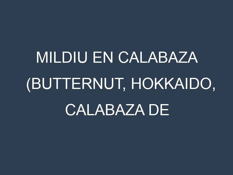 Mildiu en Calabaza (Butternut, Hokkaido, Calabaza de Castilla, Halloween): Causas, Síntomas y Estrategias de Control en Cultivos