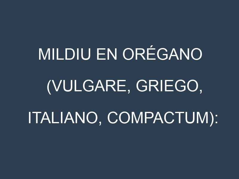 Mildiu en Orégano (Vulgare, Griego, Italiano, Compactum): Causas, Síntomas y Estrategias de Control en Cultivos