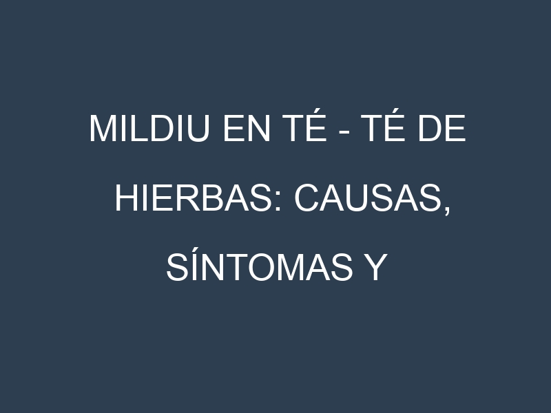Mildiu en Té – Té de hierbas: Causas, Síntomas y Estrategias de Control en Cultivos