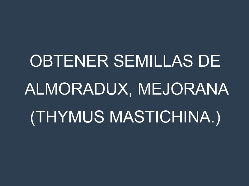 Obtener Semillas de Almoradux, Mejorana (Thymus mastichina.)