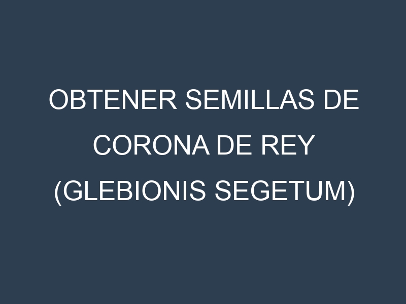 Obtener Semillas de Corona De Rey (Glebionis segetum)