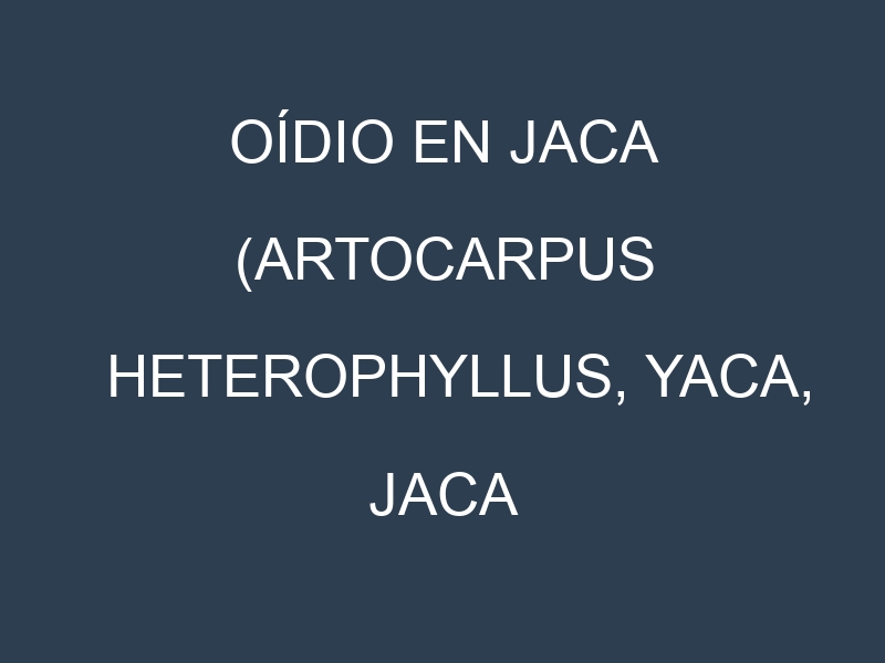 Oídio en Jaca (Artocarpus heterophyllus, Yaca, Jaca común): síntomas, ciclo de vida y estrategias de control