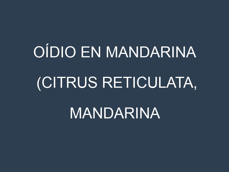Oídio en Mandarina (Citrus reticulata, Mandarina clementina, Mandarina satsuma): síntomas, ciclo de vida y estrategias de control