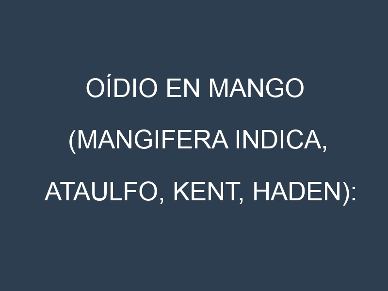 Oídio en Mango (Mangifera indica, Ataulfo, Kent, Haden): síntomas, ciclo de vida y estrategias de control