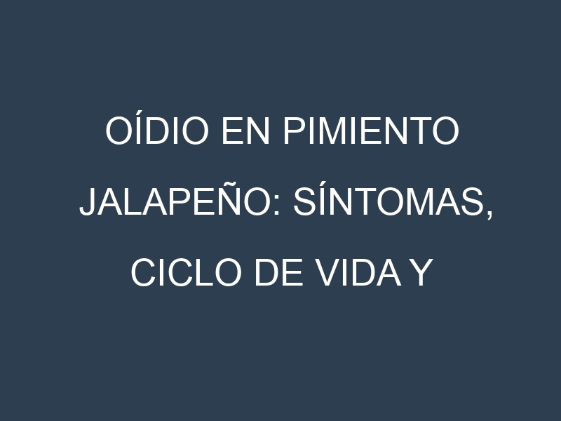 Oídio en Pimiento jalapeño: síntomas, ciclo de vida y estrategias de control