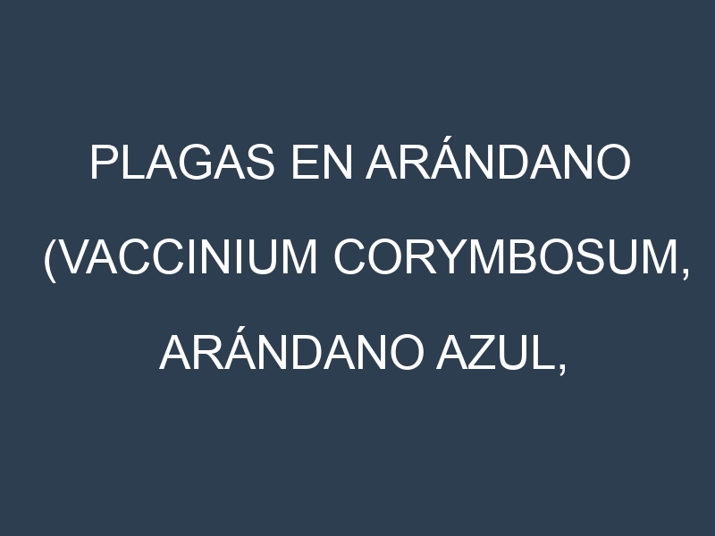 Plagas en Arándano (Vaccinium corymbosum, Arándano azul, Arándano rojo). Control biológico y Manejo de plagas.