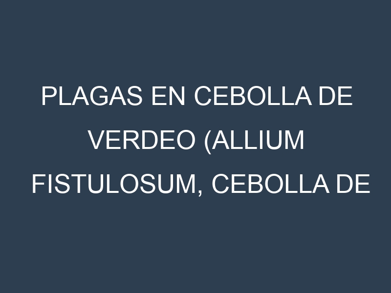 Plagas en Cebolla de verdeo (Allium fistulosum, Cebolla de cebollín, Cebolla larga). Control biológico y Manejo de plagas.