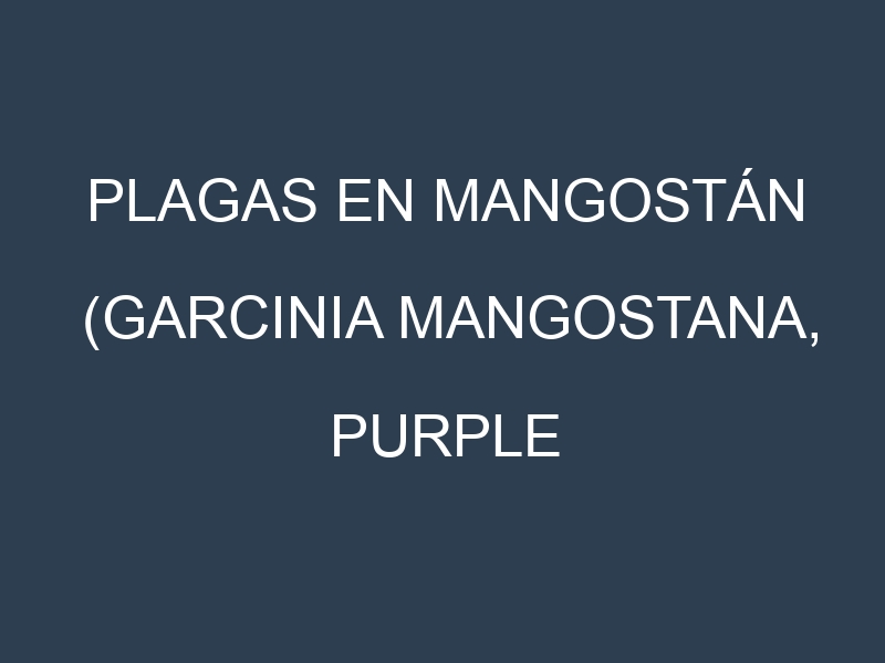 Plagas en Mangostán (Garcinia mangostana, Purple mangosteen). Control biológico y Manejo de plagas.