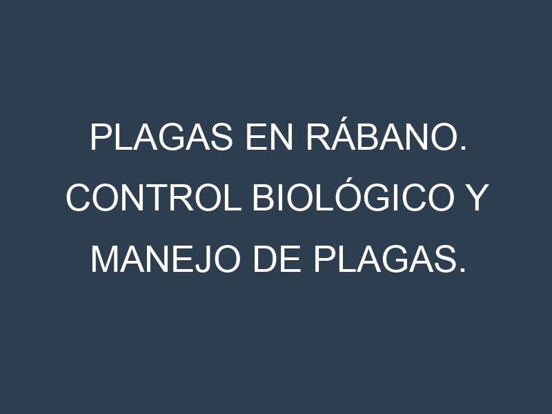 Plagas en Rábano. Control biológico y Manejo de plagas.
