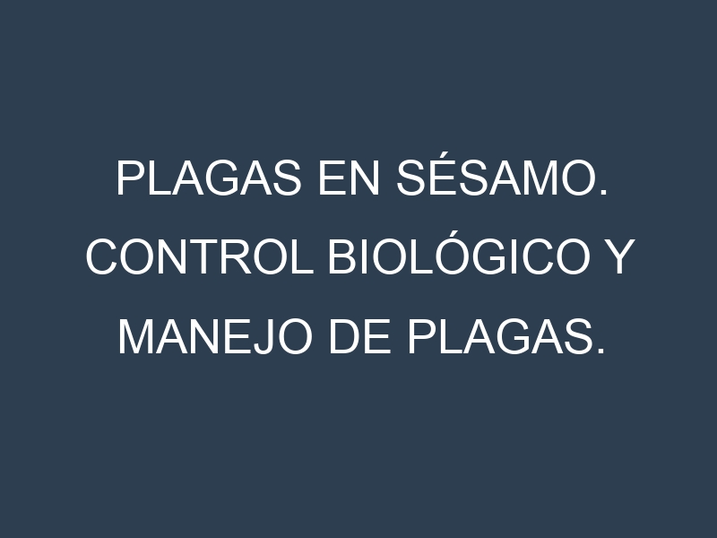 Plagas en Sésamo. Control biológico y Manejo de plagas.