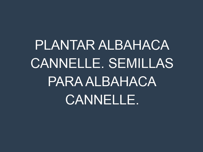 Plantar Albahaca Cannelle. Semillas para Albahaca Cannelle. Enfermedades Albahaca Cannelle.