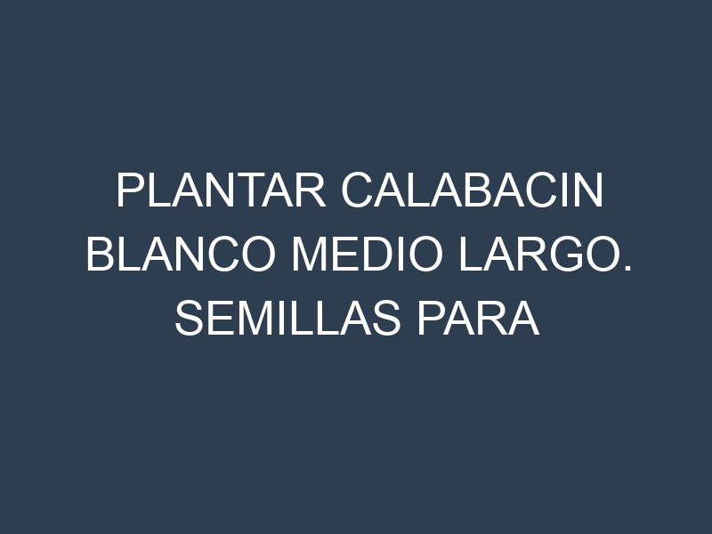 Plantar Calabacin Blanco Medio Largo. Semillas para Calabacin Blanco Medio Largo. Enfermedades Calabacin Blanco Medio Largo.