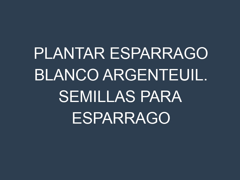 Plantar Esparrago Blanco Argenteuil. Semillas para Esparrago Blanco Argenteuil. Enfermedades Esparrago Blanco Argenteuil.