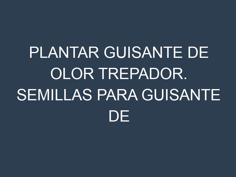 Plantar Guisante De Olor Trepador. Semillas para Guisante De Olor Trepador. Enfermedades Guisante De Olor Trepador.