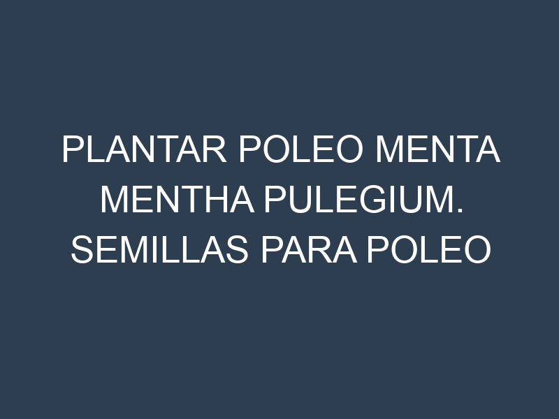 Plantar Poleo Menta Mentha Pulegium. Semillas para Poleo Menta Mentha Pulegium. Enfermedades Poleo Menta Mentha Pulegium.