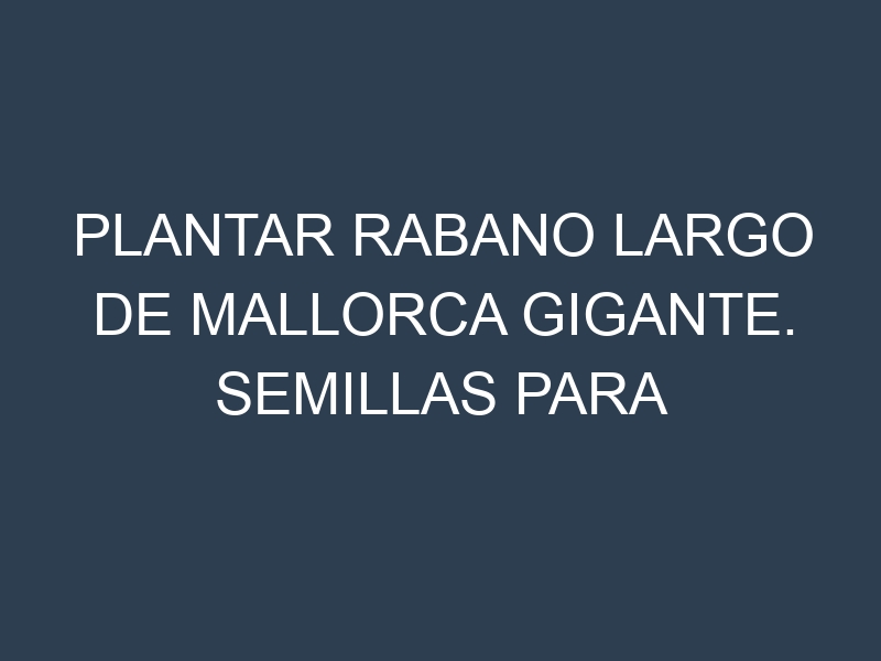 Plantar Rabano Largo De Mallorca Gigante. Semillas para Rabano Largo De Mallorca Gigante. Enfermedades Rabano Largo De Mallorca Gigante.