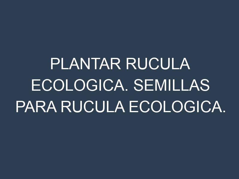 Plantar Rucula Ecologica. Semillas para Rucula Ecologica. Enfermedades Rucula Ecologica.