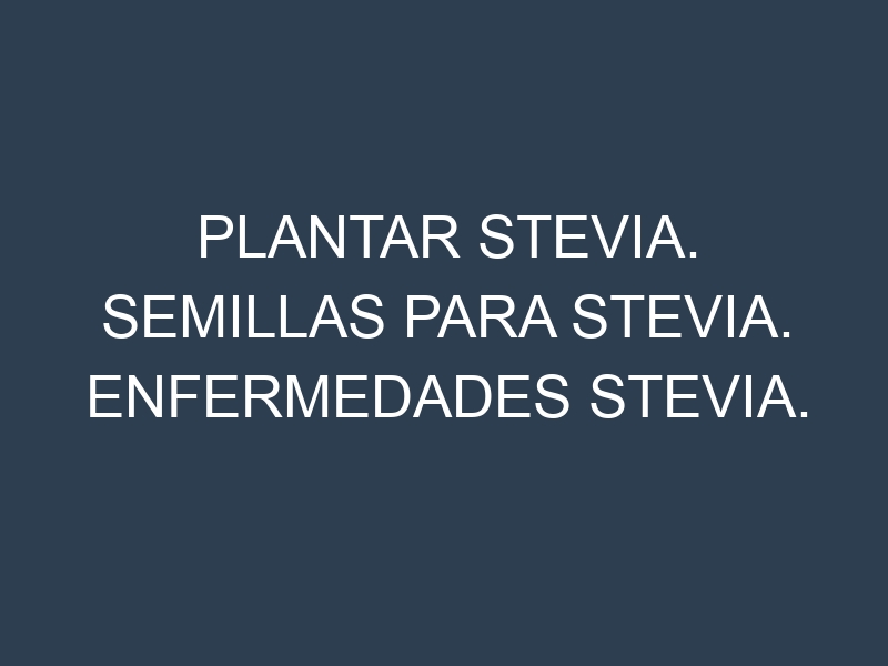 Plantar Stevia. Semillas para Stevia. Enfermedades Stevia.