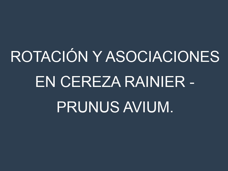 Rotación y Asociaciones en Cereza Rainier – Prunus avium. Estrategias de rotación y Beneficios de las asociaciones de cultivos.