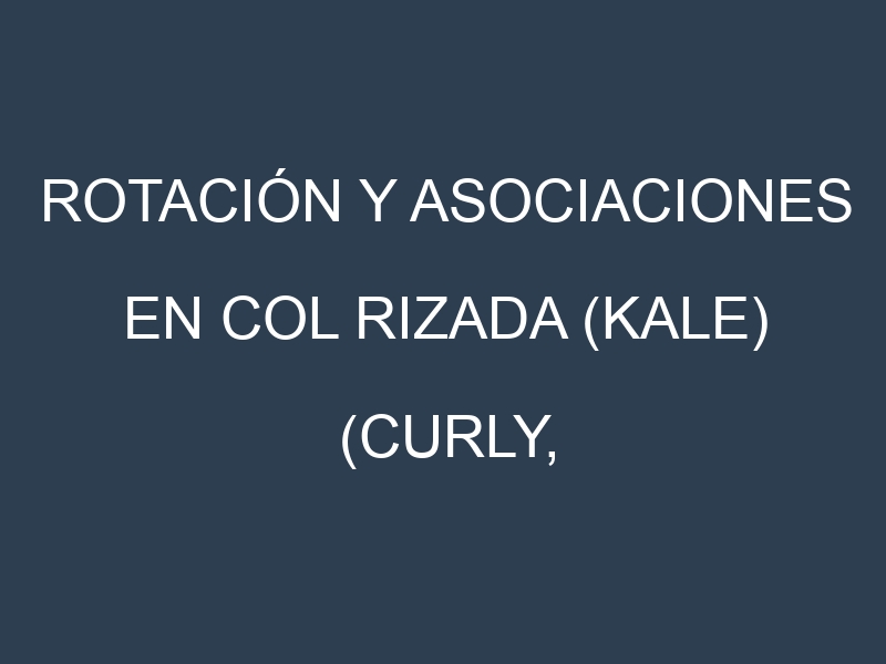 Rotación y Asociaciones en Col rizada (kale) (Curly, Lacinato, Russian, Redbor, Tronchuda). Estrategias de rotación y Beneficios de las asociaciones de cultivos.