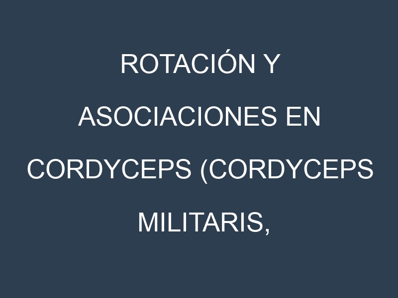 Rotación y Asociaciones en Cordyceps (Cordyceps militaris, Cordyceps sinensis, Bhutanese, Chinese Cordyceps, Cultivated Cordyceps). Estrategias de rotación y Beneficios de las asociaciones de cultivos.