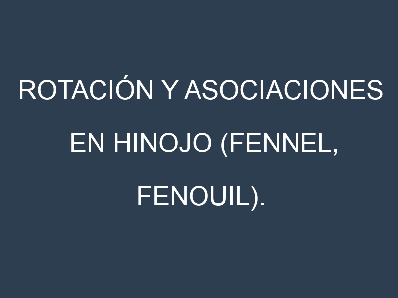 Rotación y Asociaciones en Hinojo (Fennel, fenouil). Estrategias de rotación y Beneficios de las asociaciones de cultivos.