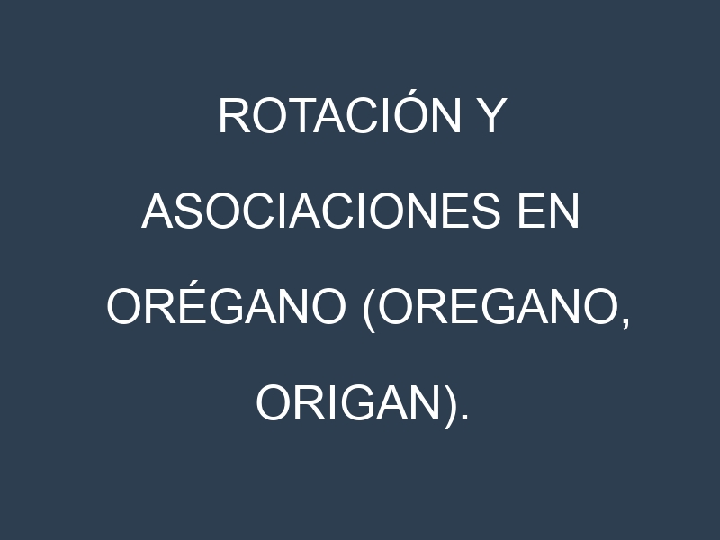 Rotación y Asociaciones en Orégano (Oregano, origan). Estrategias de rotación y Beneficios de las asociaciones de cultivos.