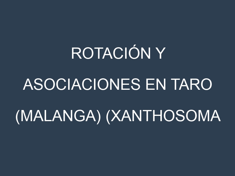 Rotación y Asociaciones en Taro (malanga) (Xanthosoma sagittifolium, Dasheen, Japanese Taro, Bun Long, Eddoe). Estrategias de rotación y Beneficios de las asociaciones de cultivos.
