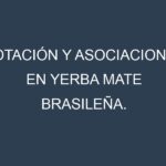 Rotación y Asociaciones en Yerba mate brasileña. Estrategias de rotación y Beneficios de las asociaciones de cultivos.