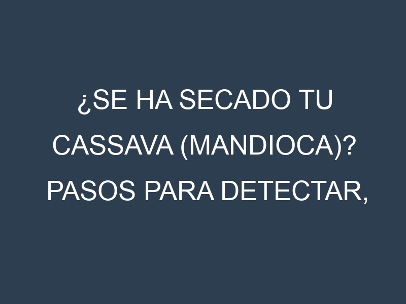 ¿Se ha secado tu Cassava (mandioca)? Pasos para Detectar, Corregir y Prevenir.