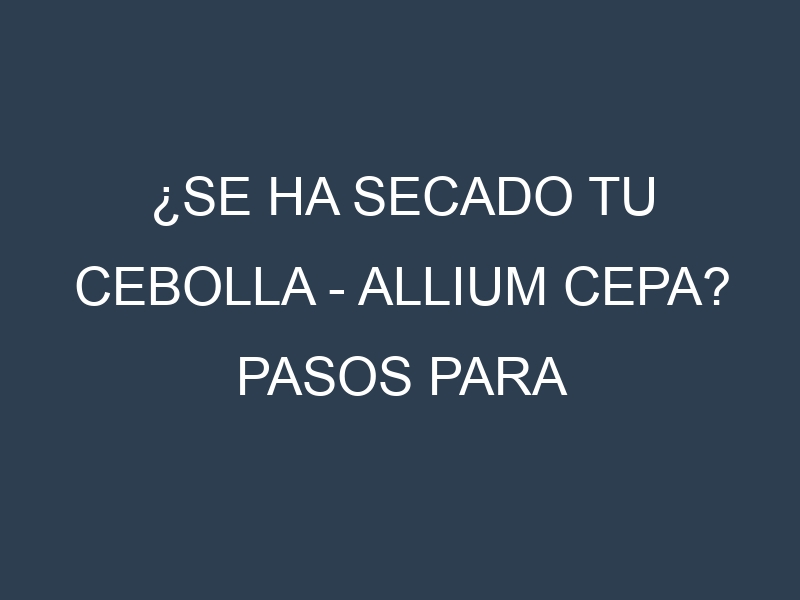 ¿Se ha secado tu Cebolla – Allium cepa? Pasos para Detectar, Corregir y Prevenir.