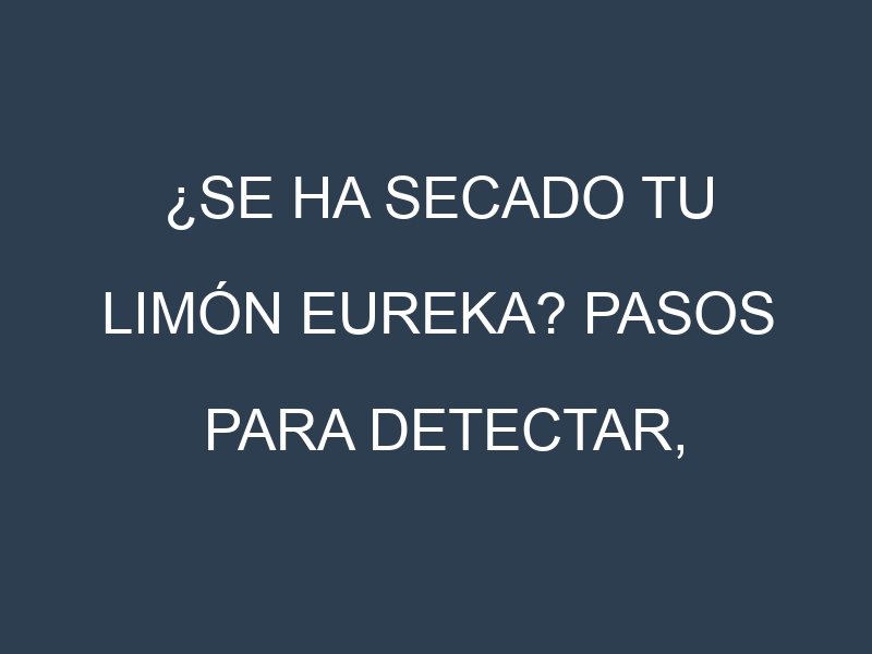 ¿Se ha secado tu Limón Eureka? Pasos para Detectar, Corregir y Prevenir.