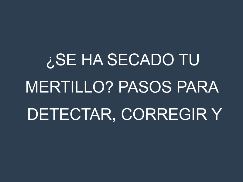 ¿Se ha secado tu Mertillo? Pasos para Detectar, Corregir y Prevenir.