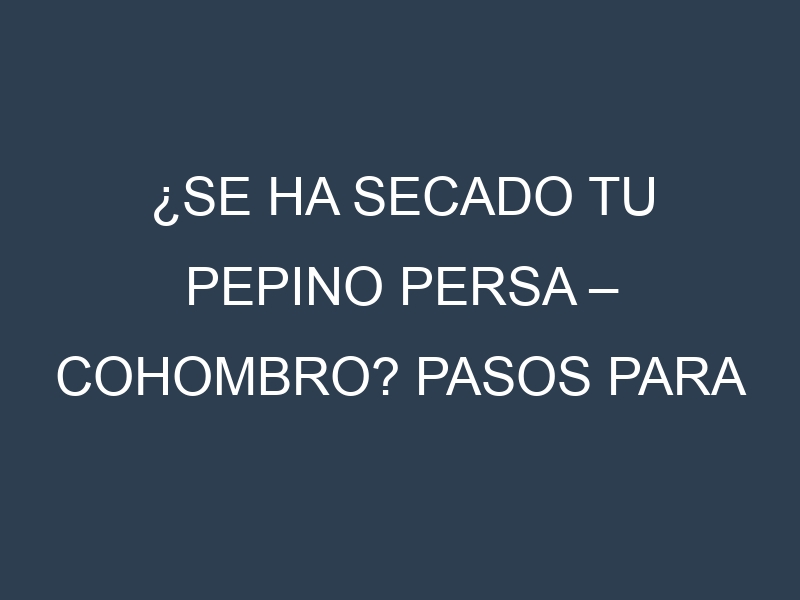 ¿Se ha secado tu Pepino persa – Cohombro? Pasos para Detectar, Corregir y Prevenir.