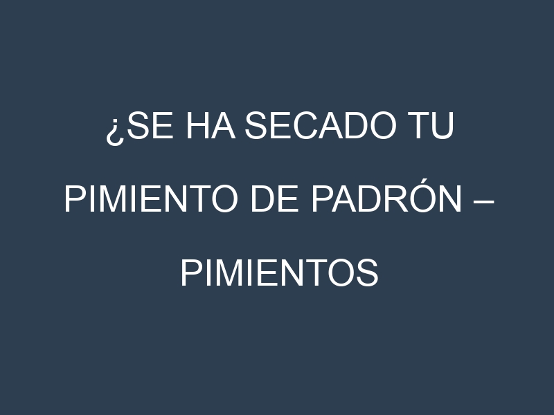 ¿Se ha secado tu Pimiento de padrón – Pimientos picantes? Pasos para Detectar, Corregir y Prevenir.