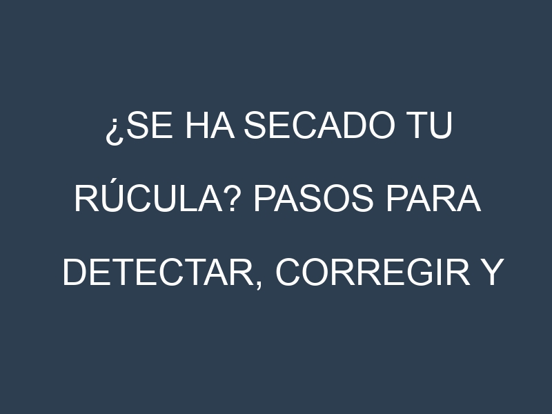 ¿Se ha secado tu Rúcula? Pasos para Detectar, Corregir y Prevenir.