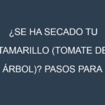 ¿Se ha secado tu Tamarillo (tomate de árbol)? Pasos para Detectar, Corregir y Prevenir.
