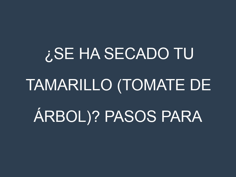 ¿Se ha secado tu Tamarillo (tomate de árbol)? Pasos para Detectar, Corregir y Prevenir.