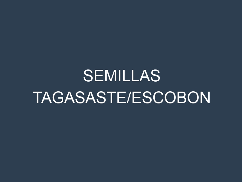 Semillas tagasaste/escobon