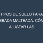Tipos de suelo para Cebada malteada. Cómo ajustar las condiciones del suelo.
