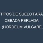Tipos de suelo para Cebada perlada (Hordeum vulgare, Steptoe, Morex, Betzes, Compana). Cómo ajustar las condiciones del suelo.