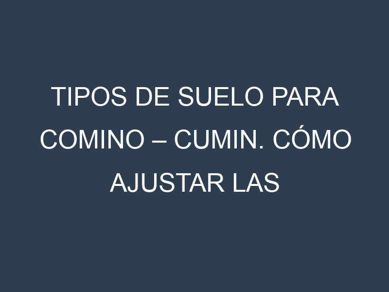 Tipos de suelo para Comino – Cumin. Cómo ajustar las condiciones del suelo.
