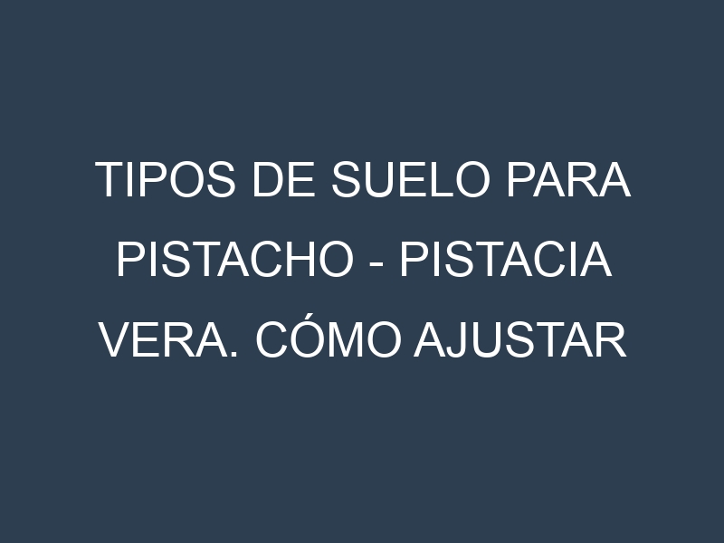 Tipos de suelo para Pistacho – Pistacia vera. Cómo ajustar las condiciones del suelo.