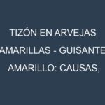 Tizón en Arvejas amarillas – Guisante amarillo: Causas, Síntomas y Estrategias de Control en Cultivos
