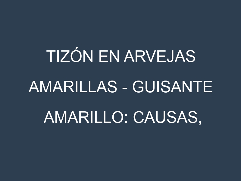 Tizón en Arvejas amarillas – Guisante amarillo: Causas, Síntomas y Estrategias de Control en Cultivos
