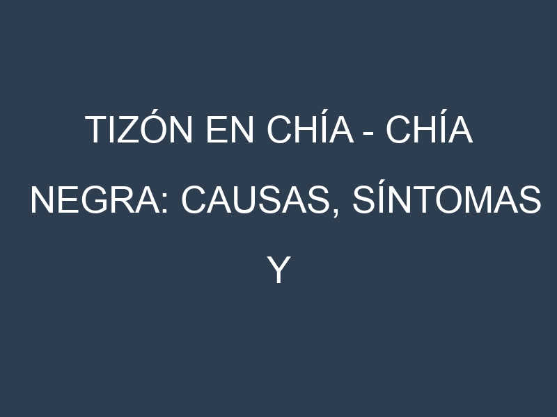 Tizón en Chía – Chía negra: Causas, Síntomas y Estrategias de Control en Cultivos
