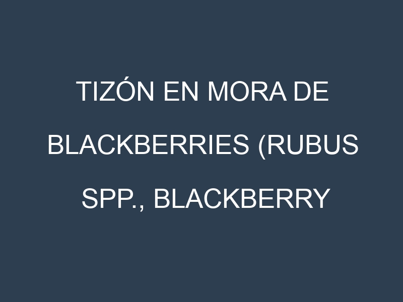 Tizón en Mora de blackberries (Rubus spp., Blackberry común, Blackberry dulce): Causas, Síntomas y Estrategias de Control en Cultivos