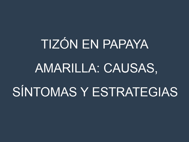 Tizón en Papaya amarilla: Causas, Síntomas y Estrategias de Control en Cultivos